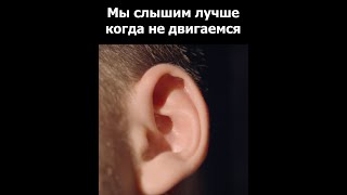 Мы слышим лучше когда не двигаемся