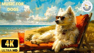 4K  8 Hours MUSIC FOR DOGS Dogs TV: Relaxing Music For Dogs♬ Anti Anxiety Music for Dogs
