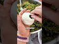 Baozitechnicaltraining#zero proofing packageSub-technology#BaoziGirl'sBaoziMakingTechnique