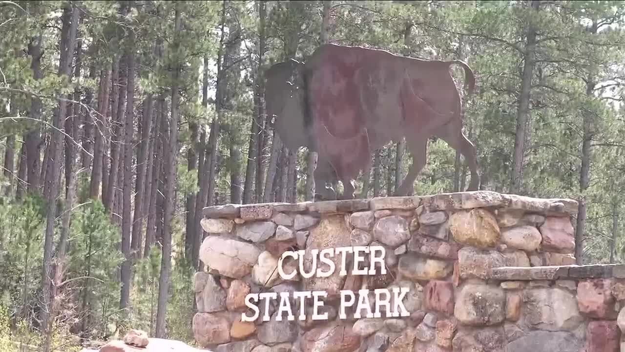 Custer State Park introduces archery hunting, expands number of licenses available