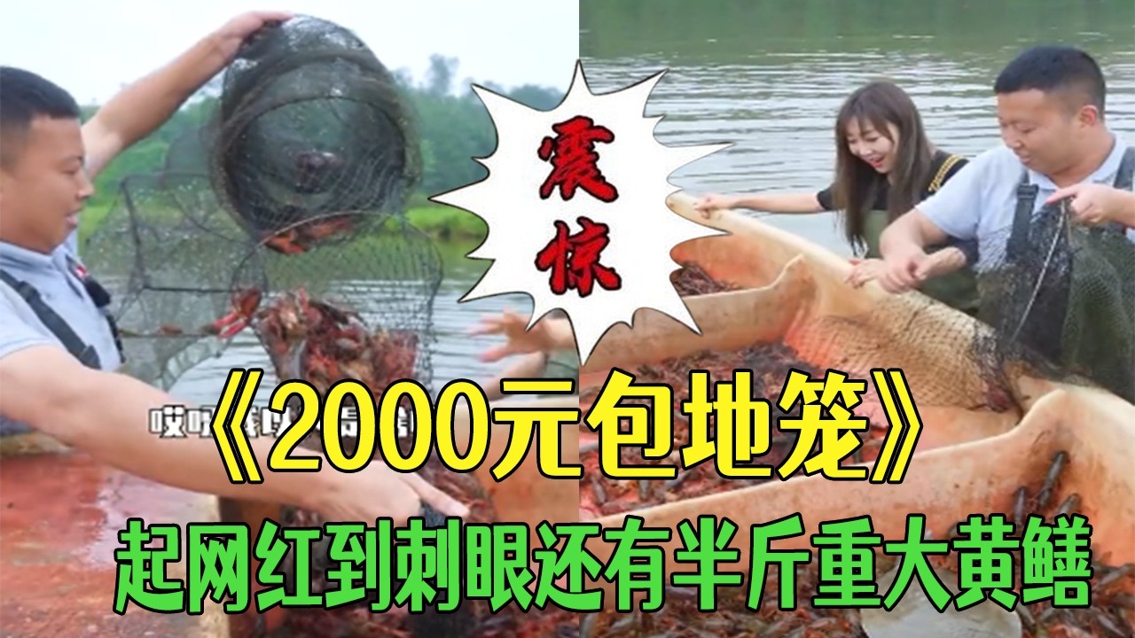 花2000元包下十多個地籠，起網紅到刺眼還有半斤重大黃鳝 #小飛哥#新農人計劃 #三農 #護外 #抓魚 #我要上熱門 #包塘