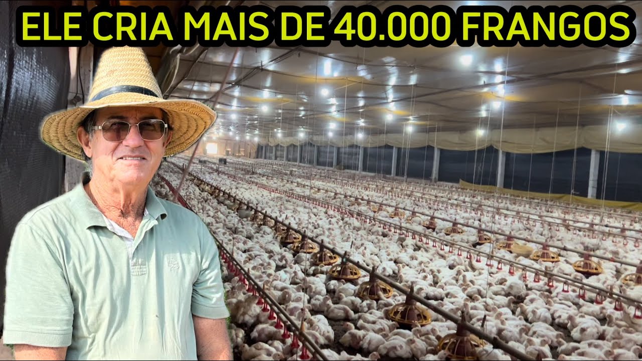 EM POUCO ESPAÇO DE TERRA GIRA MUITO DINHEIRO. PARCERIA @Lucas Pereira Lima