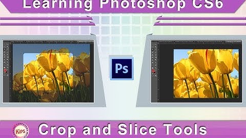 Learning Photoshop CS6: Crop and Slice Tools