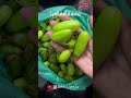 Any StarFruit Lover Likes Me?🤤♥️ #starfruit #bilimbi#fav#trendingshorts #viral#shifazlifetalez
