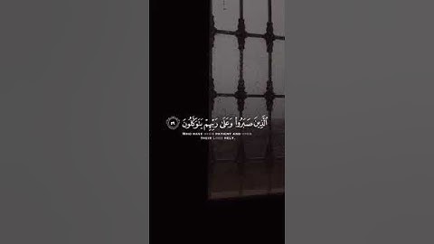 ﴿الذين صبروا وعلى ربهم يتوكلون﴾[النحل42]سورة : النحل - الأية :(42 )- الجزء :( 14 )  -  الصفحة:(271 )