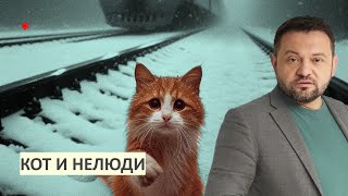 Кого посадят за кота