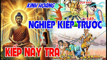 Chuyện Phật Giáo Nhân Quả OAN NGHIỆP ĐỜI TRƯỚC KIẾP NÀY PHẢI TRẢ   Luật Nhân Quả Không Bỏ Sót Một ai
