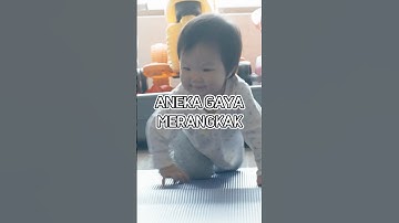 Gaya merangkak bayi, gemas!