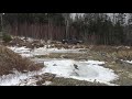 Backcountry 4x4  n00b run