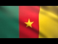 Cameroon Flag waving animated using MIR plug in after effects - free motion graphics