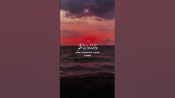 #الشيخ عبد الرحمن مسعد #سورة الحج