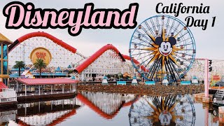 Disneyland trip ✈️Day1#DisneylandCalifornia#travelvlog#vacation#roomtour@3kidswonderland