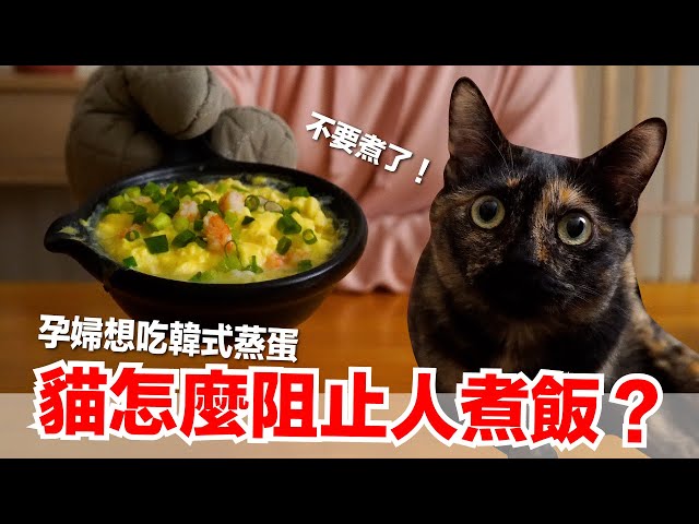 【好味小姐】孕婦想吃韓式蒸蛋，貓咪全面阻止我煮飯啊！｜好味貓廚房EP183
