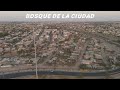 BOSQUE DE LA CIUDAD DE MEXICALI Y ALREDEDORES 