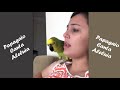 Papagaio Canta Aleluia - Muito Lindo