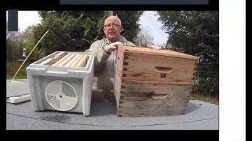 Creating a NUC of bees, two methods & Q&A from NBA member David Hennessey.