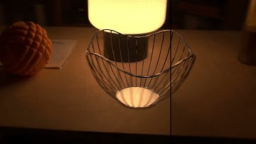 Dynamic Mesh-Aware Radiance Fields (ICCV 2023)