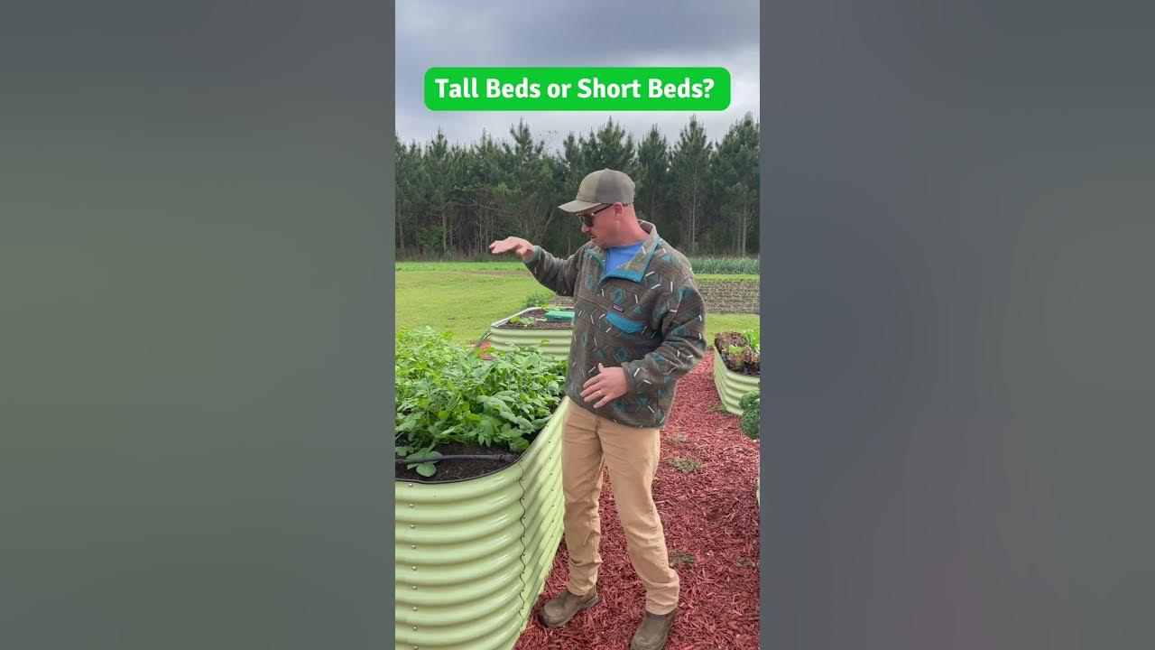 How Tall Should Raised Beds Be? YouTube