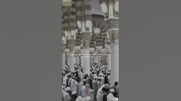 مقتطف من تلاوة فضيلة الشيخ #عبدالله_القرافي من عشاء 16 ربيع الآخر 1447هـ