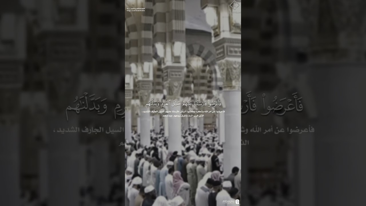 مقتطف من تلاوة فضيلة الشيخ #عبدالله_القرافي من عشاء 16 ربيع الآخر 1447هـ