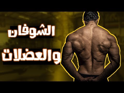 فيديو: هل يجب أن أضع الشوفان في العصير الخاص بي؟