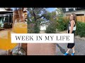 Vlog // Week in My Life - Grocery Haul, Book Talk, &amp; Sunday Cleaning