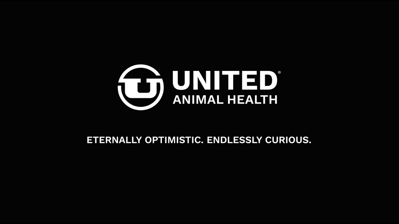 United Animal Health Brand Essence YouTube