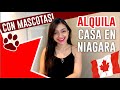 Como rentar casa/apartamento/basement fácil en Canadá 🇨🇦 (Incluso con MASCOTAS!)