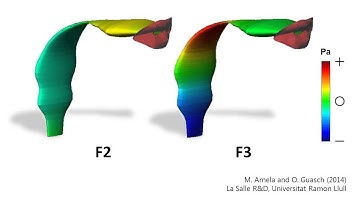 Formant pressure distribution vowel u