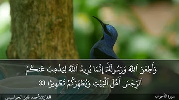 الصفحة 422 سورة الأحزاب القارئ المهندس أحمد فايز الحراسيس