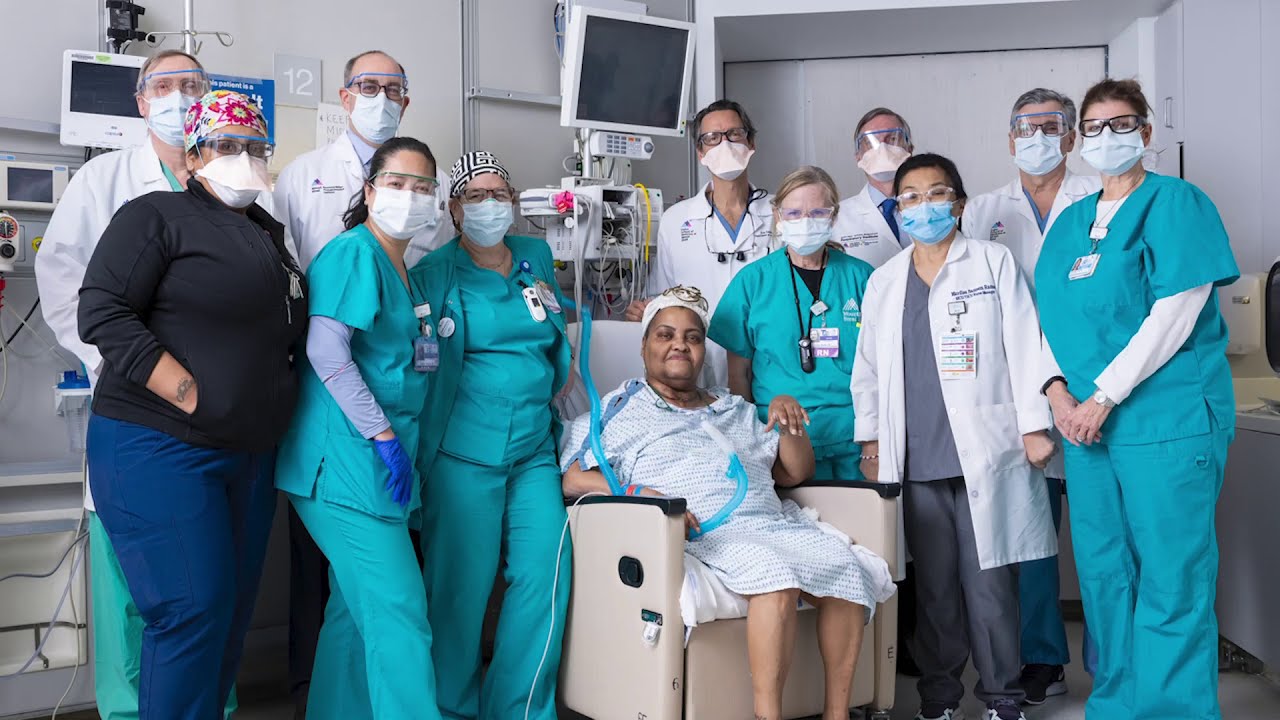 Tracheal Transplant Program Mount Sinai New York