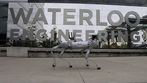Walking Robots at the University of Waterloo