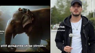 Bombiçeskiý tiktok videolar #atam077 #ezizacylow #ezizhan #meredoff #tmcenter #turkmentiktok