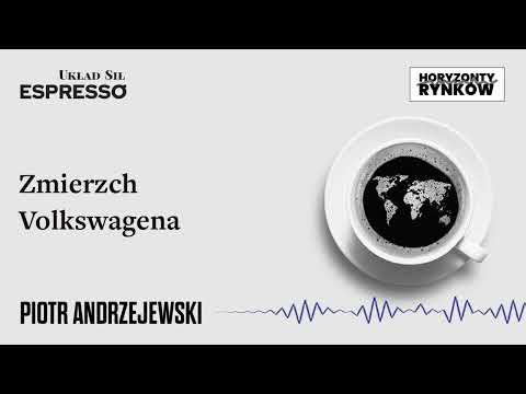Zmierzch Volkswagena - Eugeniusz Romer, Piotr Andrzejewski