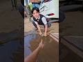 Abang Jangan dipepet Nanti mampet itu #trendingshorts