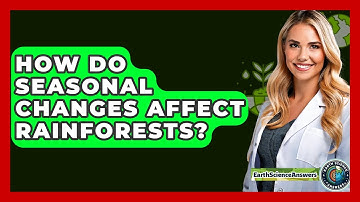 How Do Seasonal Changes Affect Rainforests? - Earth Science Answers
