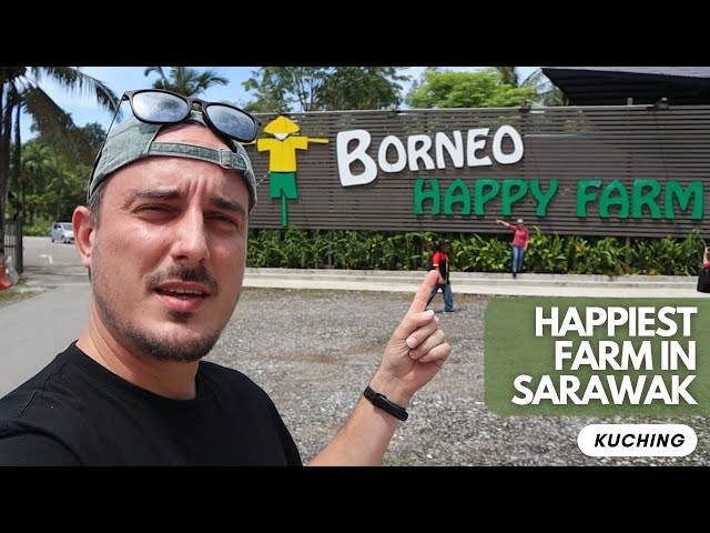 HAPPIEST PLACE IN MALAYSIA | Borneo Happy Farm class=