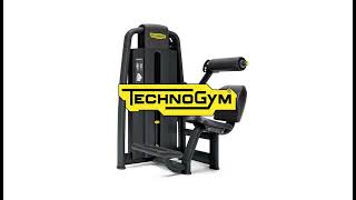 Lower Back Technogym Selection 700 Occasion