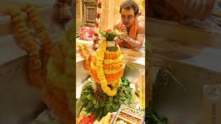 om namah shivya 🙏🙏