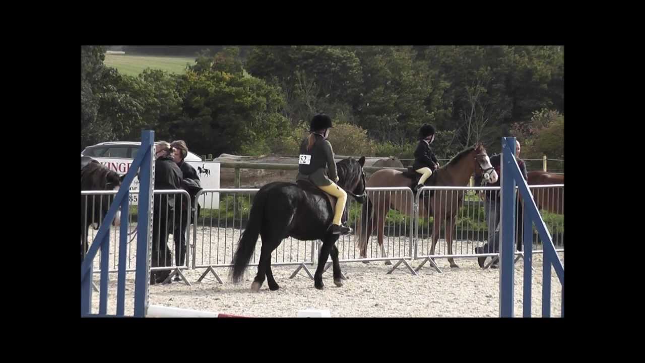 Dartmoor Pony (Shilstone Rocks) show jumping at Jays YouTube