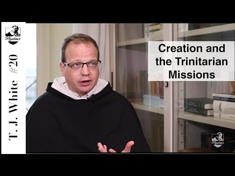 Thomas Joseph White #20: Aquinas on creation and the Trinitarian missions (I, 43)