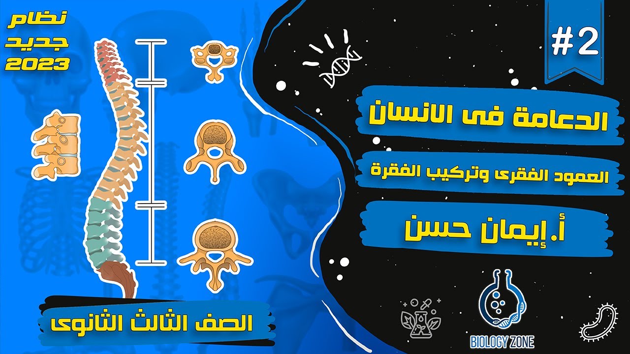 #2 | شرح العمود الفقري وتركيب الفقرة ( شرح الدعامة فى الانسان ) | احياء تالته ثانوى 2023 | إيمان حسن
