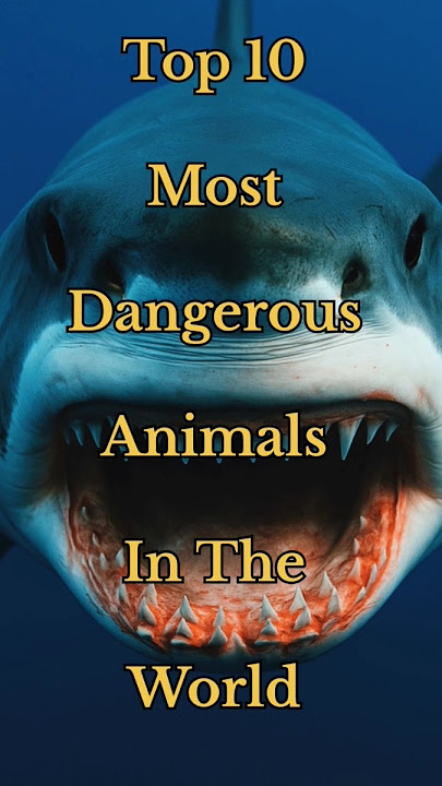 Top 10 most dangerous animals in the world #shorts#dangerousanimals##top10#mostdangerousanimals