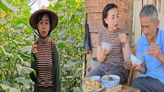 Строим голубятню с дедушкой: Веселье в саду с маринованными огурцами l Ly Phuc Hang