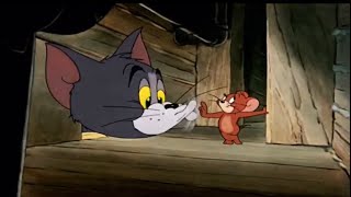 Tom and Jerry voiceover 2