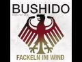 Bushido feat.Kay One-Fackeln im Wind-(WM Song 2010).wmv