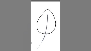5 Ways to make a leaf in Adobe Illustrator in under a minute #adobeillustrator