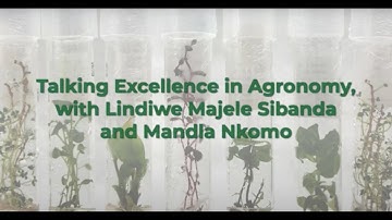 Talking Excellence in Agronomy with CGIAR