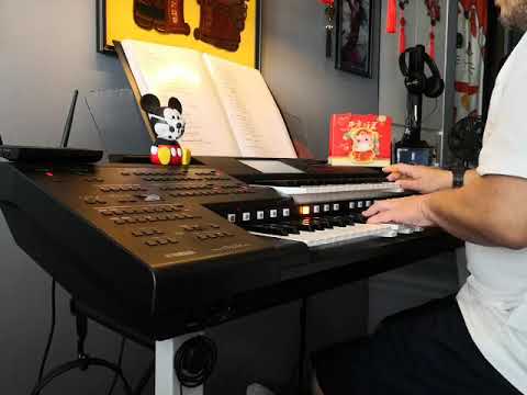 大团圆 [Da Tuan Yuan] - Played On Yamaha Electone Stagea ELC-02 [CNY Electone Cover]