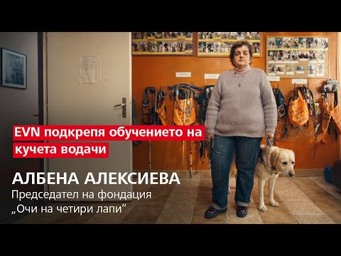Видео: Как да живеем със слепи кучета